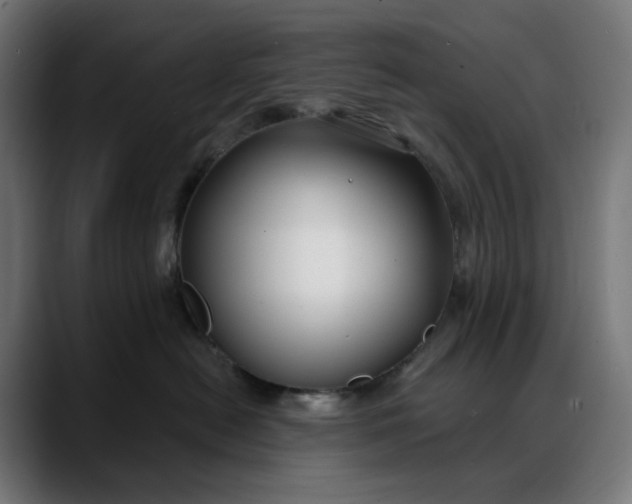 X0000088040478200705251305