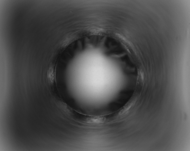 X0000088040479200705251305