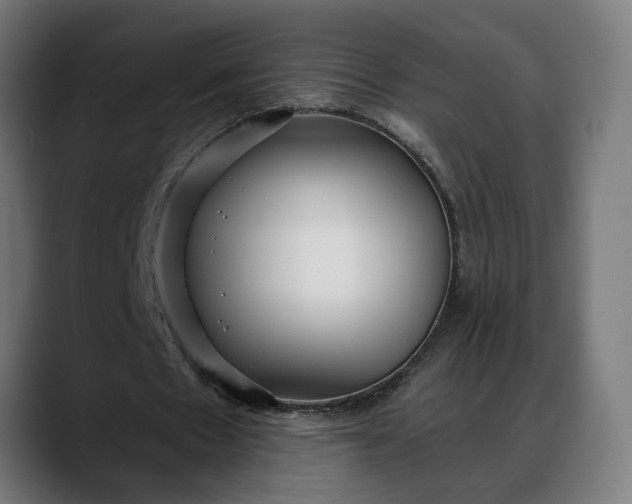 X0000088040481200705251305