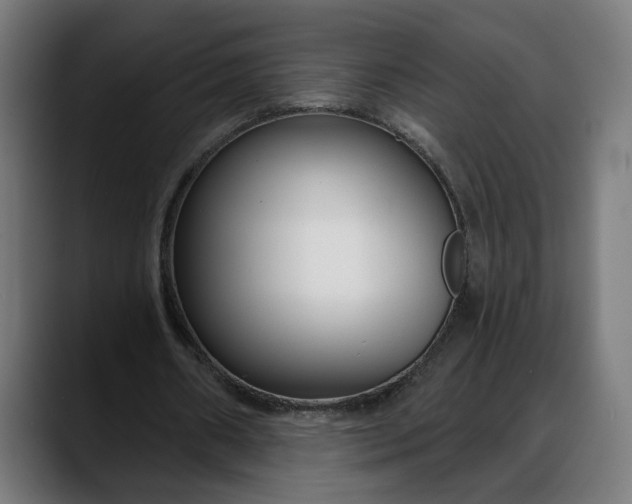 X0000088040482200705251305