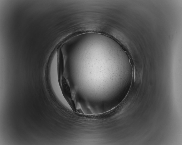 X0000088040483200705251305