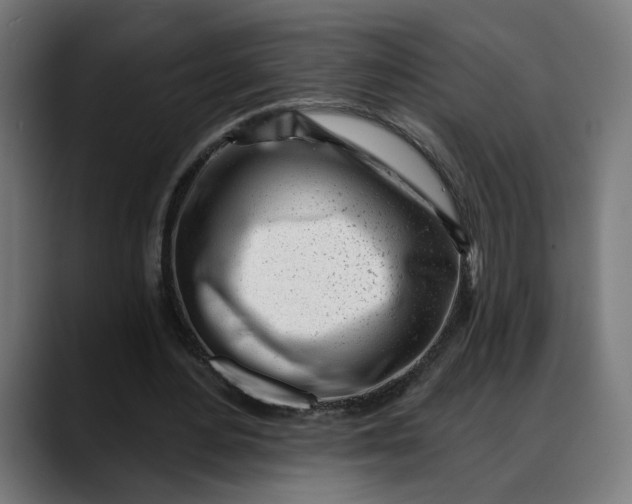 X0000088040484200705251305