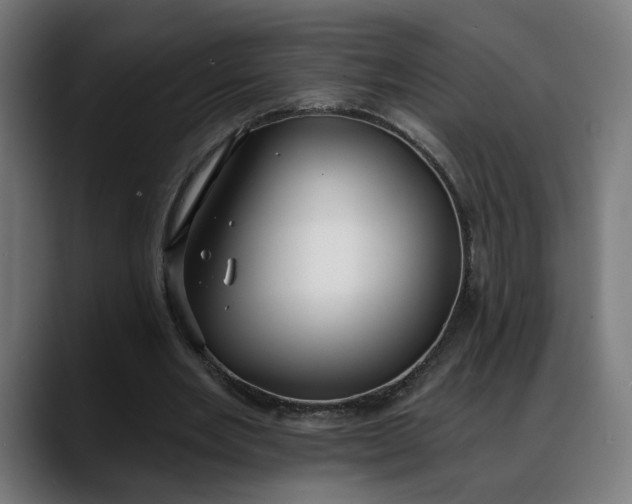 X0000088040485200705251305