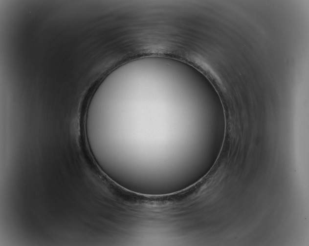 X0000088040486200705251305