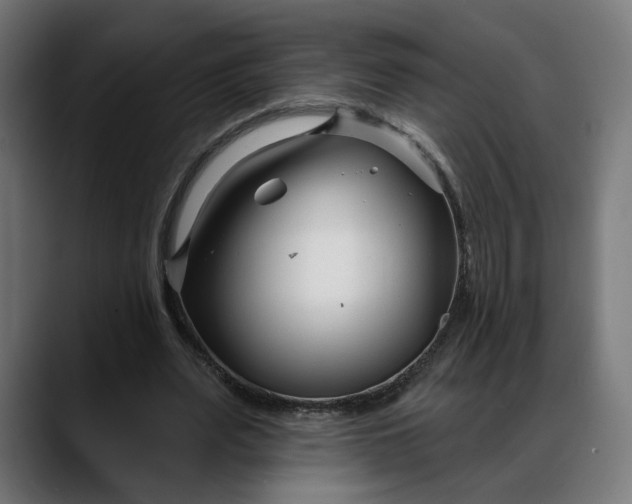 X0000088040487200705251305