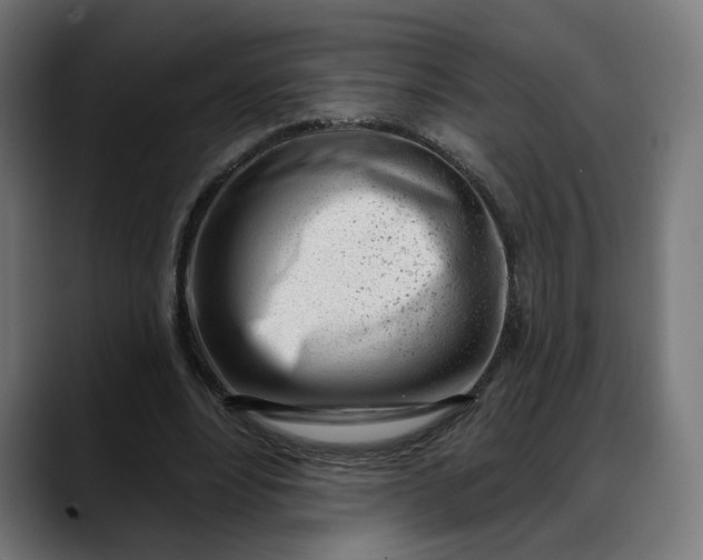 X0000088040488200705251305