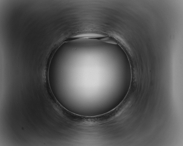 X0000088040489200705251305