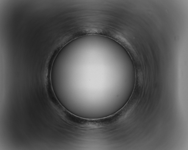 X0000088040490200705251305