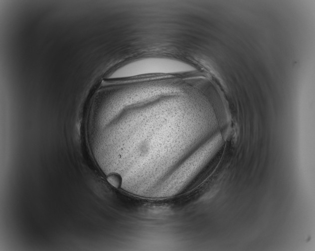 X0000088040491200705251305