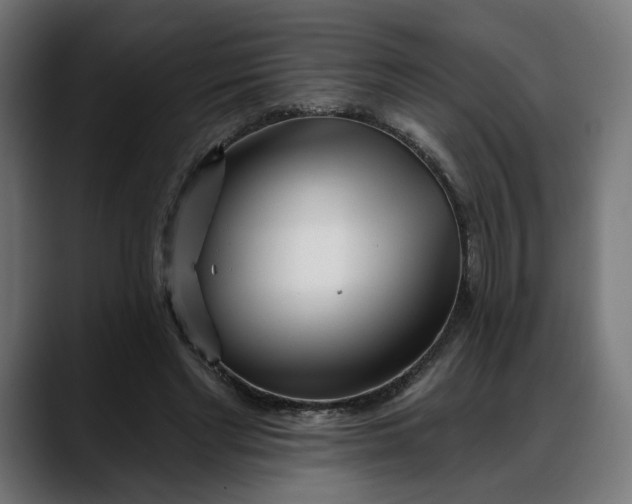 X0000088040493200705251305