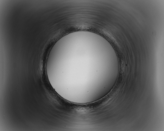 X0000088040494200705251305