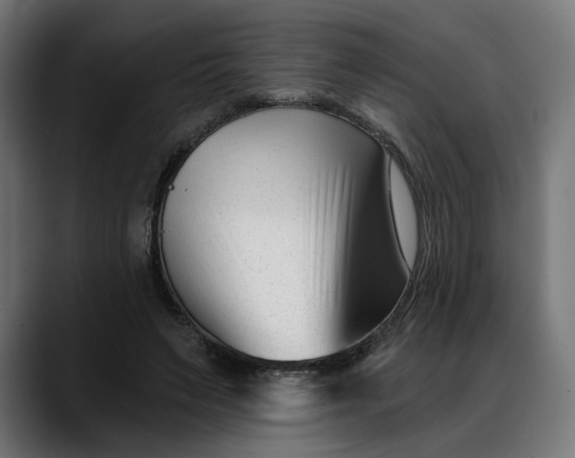 X0000088040495200705251305