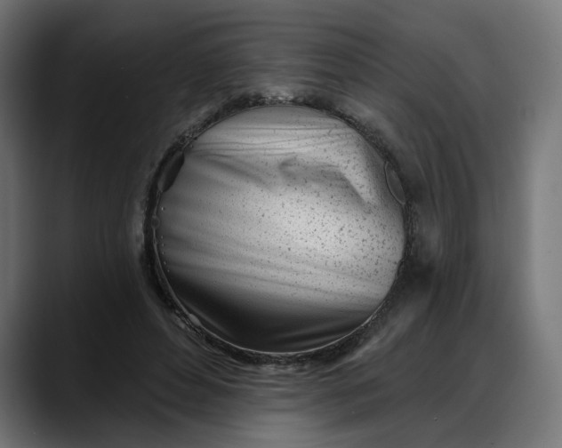 X0000088040496200705251305