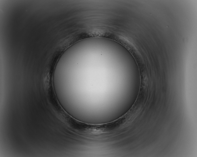 X0000088040498200705251304