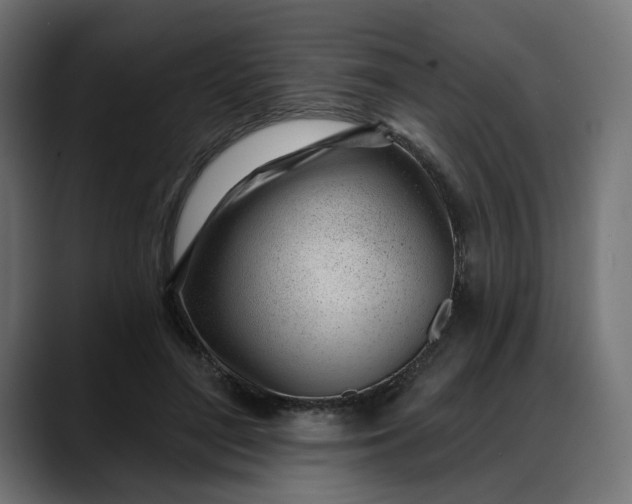 X0000088040500200705251304