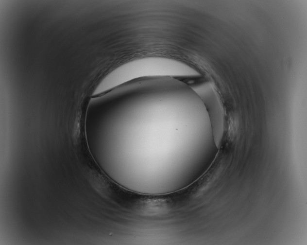 X0000088040501200705251304