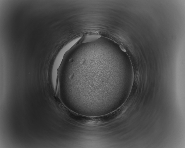 X0000088040504200705251304