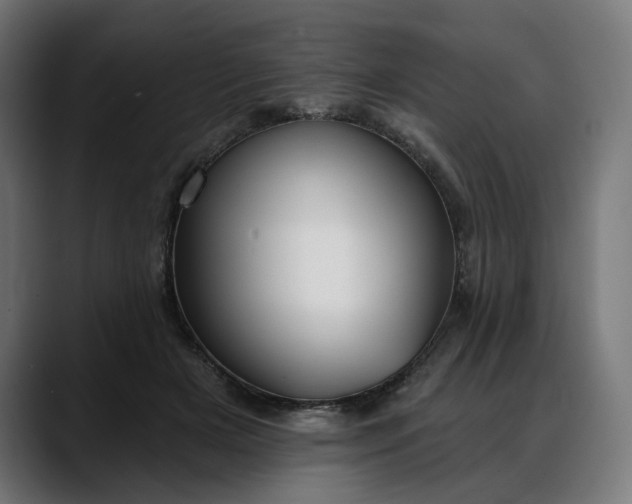 X0000088040505200705251304