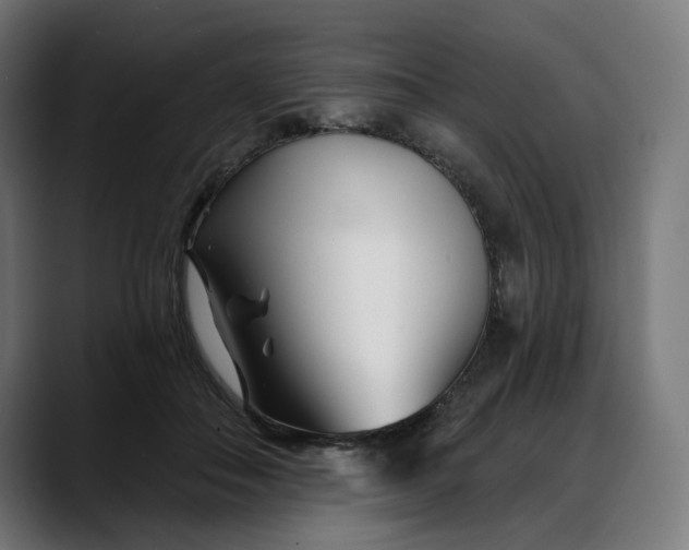 X0000088040506200705251304