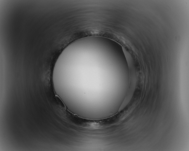 X0000088040509200705251304