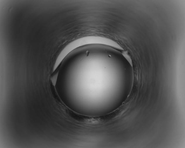 X0000088040511200705251304