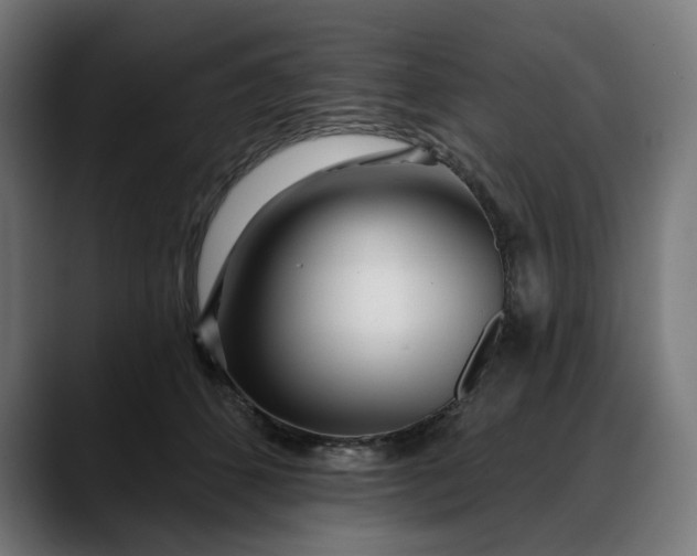 X0000088040512200705251304