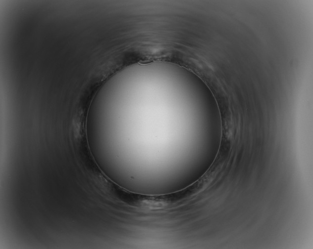 X0000088040515200705251304