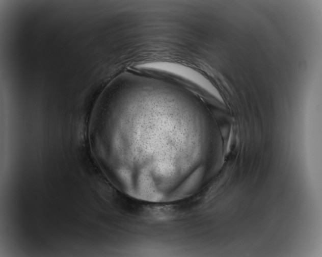 X0000088040517200705251304