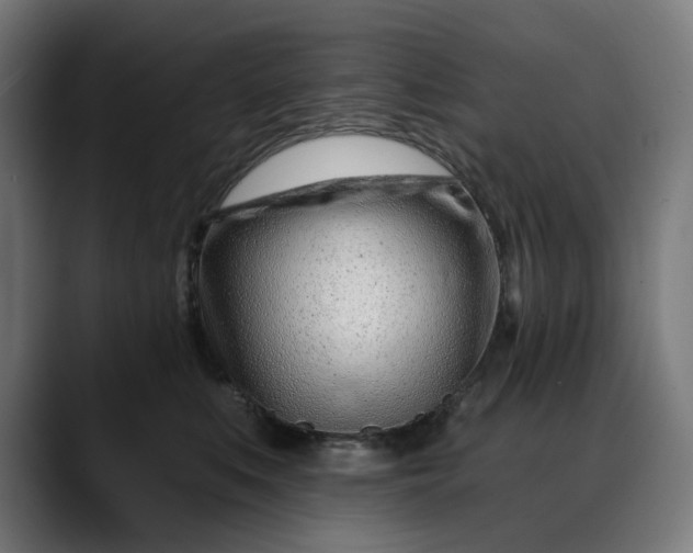 X0000088040519200705251304