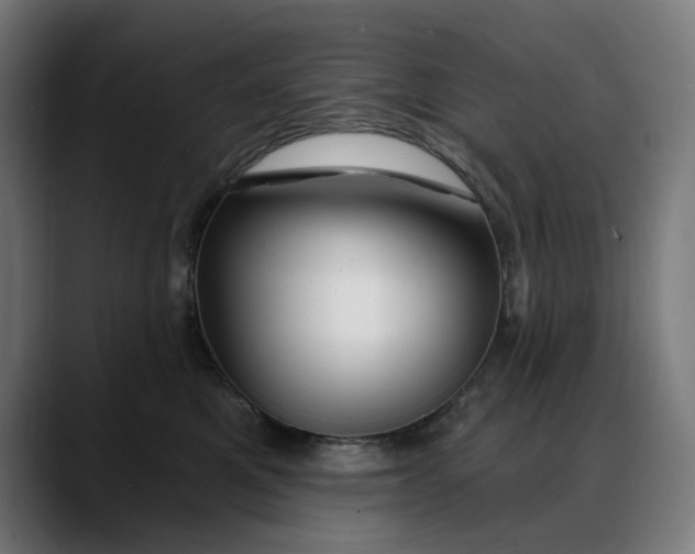 X0000088040521200705251304