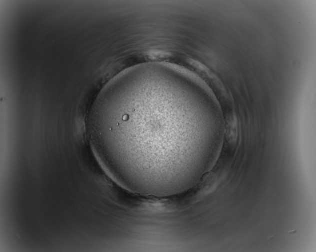 X0000088040523200705251304