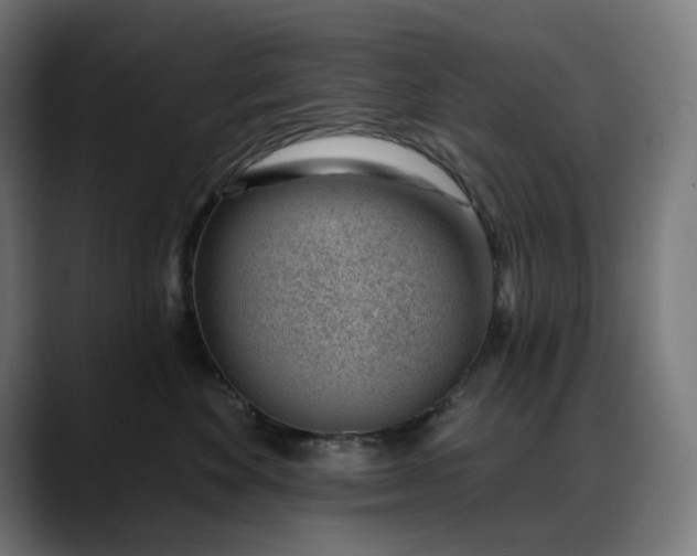 X0000088040524200705251304