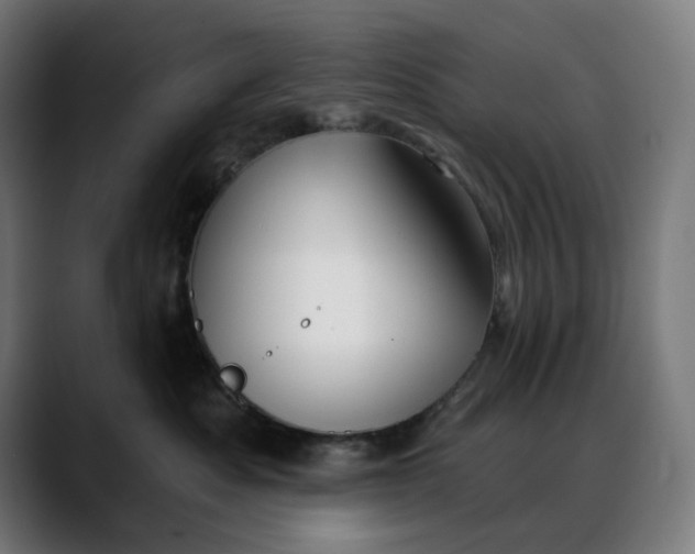 X0000088040525200705251304