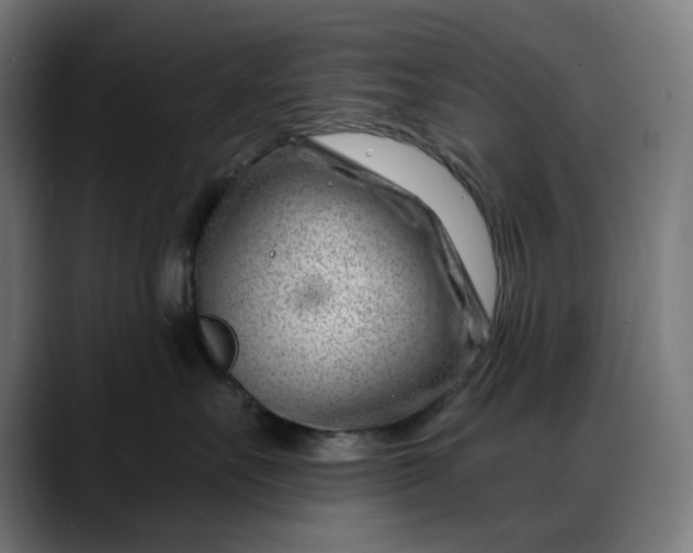 X0000088040527200705251304