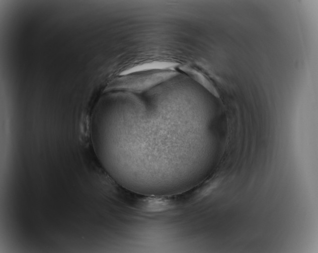 X0000088040528200705251304