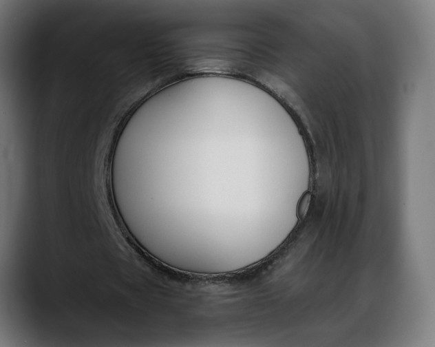 X0000088040529200705251303