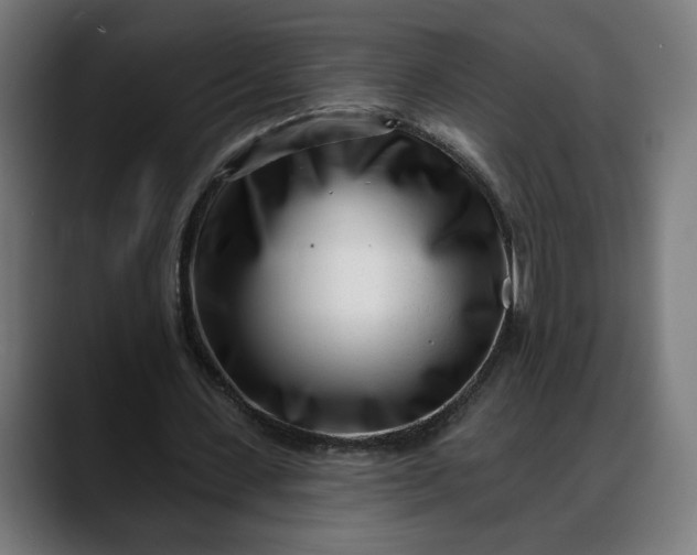 X0000088040531200705251303