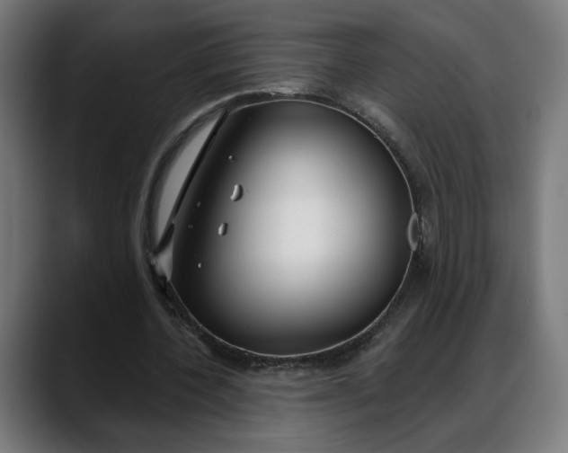 X0000088040532200705251304