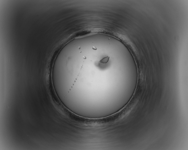 X0000088040533200705251304