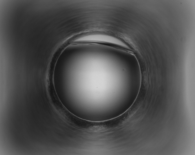 X0000088040536200705251304