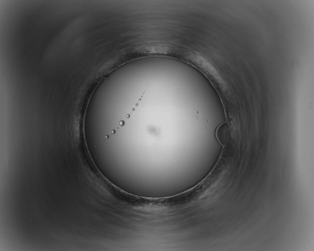 X0000088040537200705251304