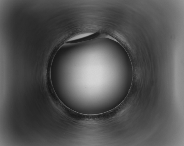 X0000088040538200705251304