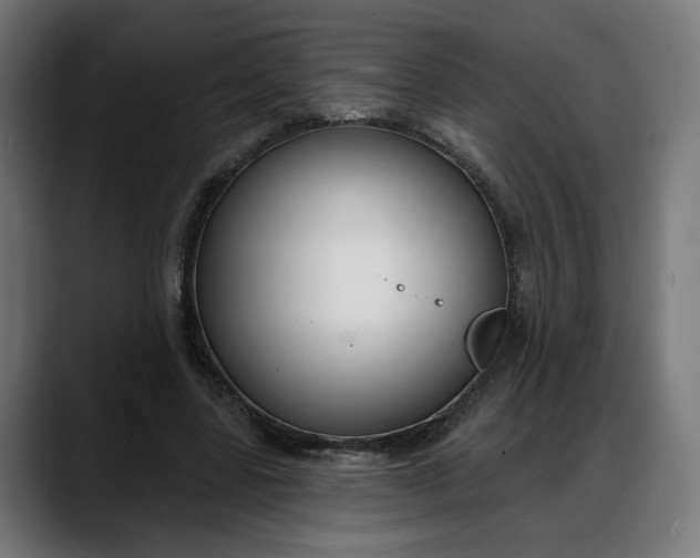 X0000088040539200705251304