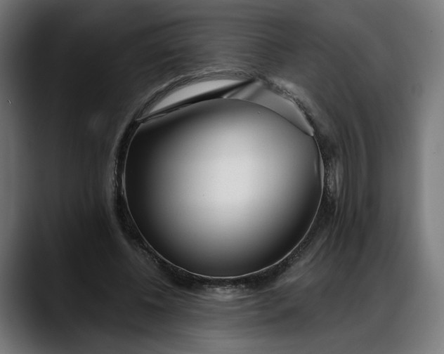 X0000088040540200705251304