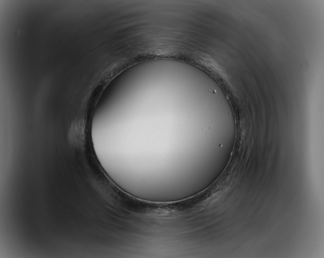 X0000088040542200705251304