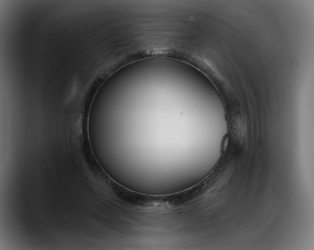 X0000088040543200705251304