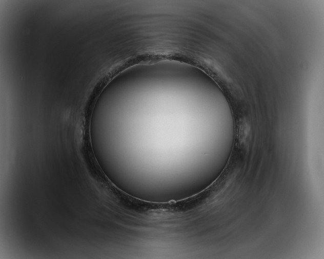 X0000088040544200705251304