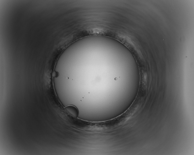 X0000088040545200705251304