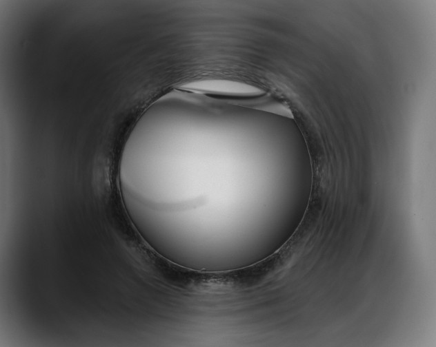 X0000088040546200705251304