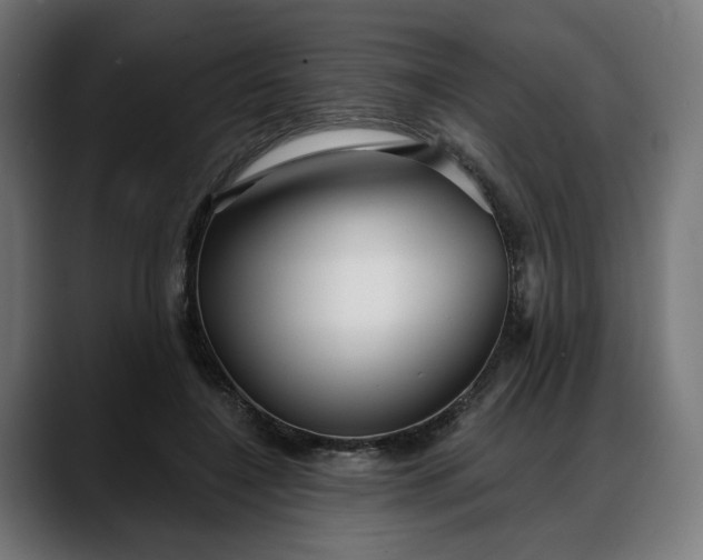 X0000088040548200705251304